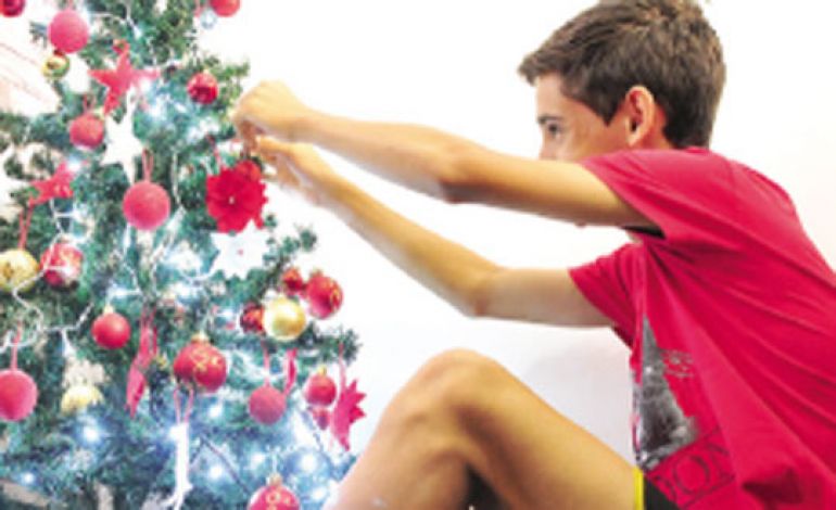 Árvore de Natal é montada a partir da festa de Cristo Rei, chamada de Advento | O Imparcial Árvore de Natal é montada a partir da festa de Cristo Rei, chamada de Advento | O Imparcial