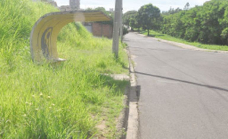 José Reis, Transporte coletivo contempla bairro com 1 itinerário