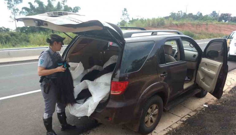 Polícia Militar Rodoviária, Material sem documentação fiscal foi encontrado em Toyota Hilux