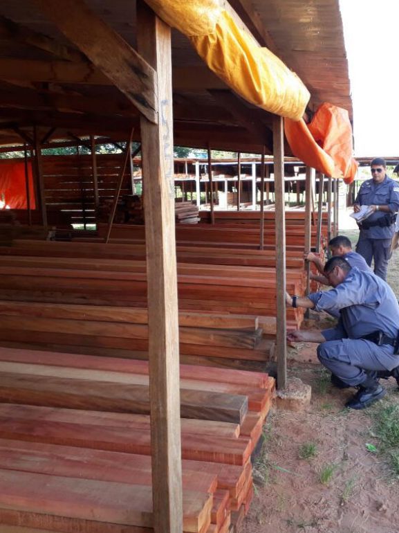 Polícia Militar Ambiental - No local, existiam madeiras nativas comercializadas sem licença válida