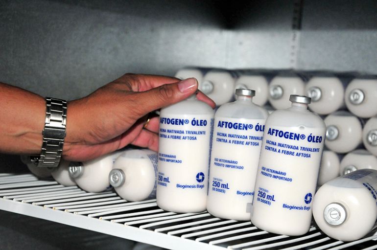 Arquivo - Pecuarista é responsável pela compra do medicamento e pela aplicação em todo o gado