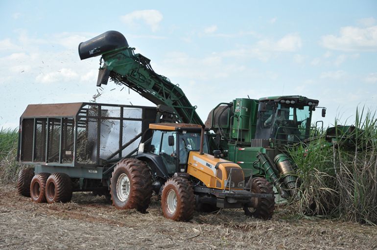 Arquivo - Produção deve fechar com menos 234.976 t na safra 2017/2018