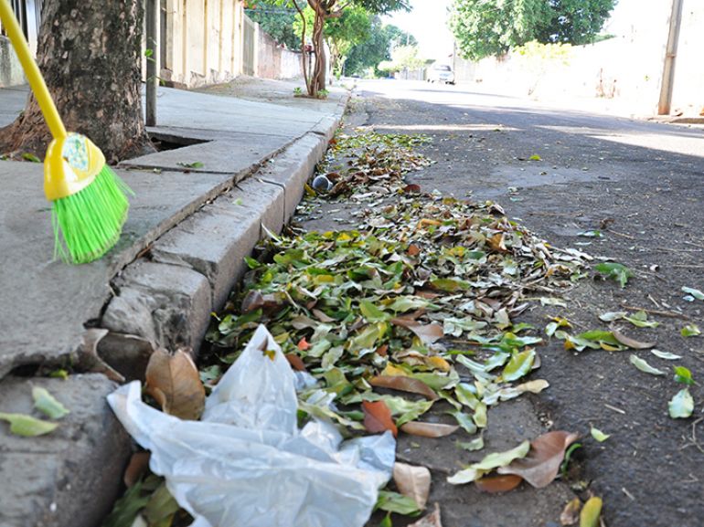 Jose Reis - Por conta da arborização, ruas requerem limpeza frequente