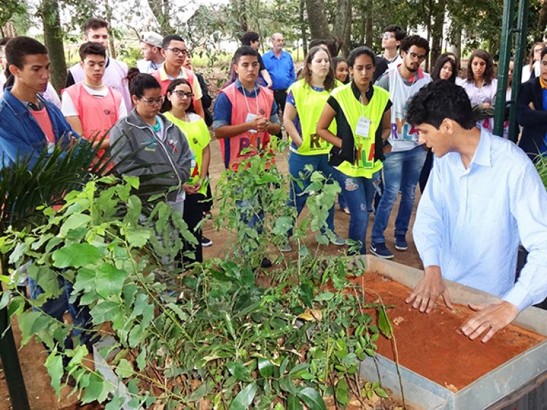 Cedida - Em 2017, mais de 600 pessoas foram capacitadas pela Pontal Flora