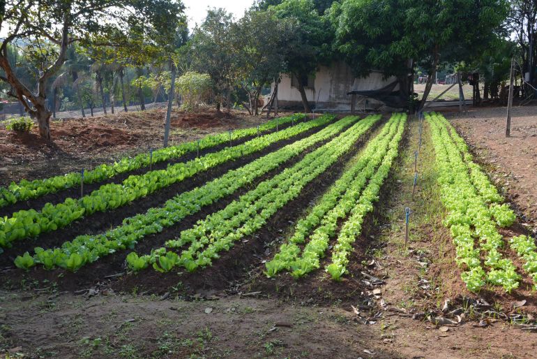 Cedida/Marcos Sanches/Secom - Espaço deve ser reinaugurado em julho e atender 330 alunos que integram oficina sobre cultivo de hortaliças