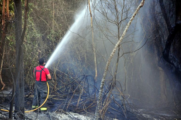 Arquivo - Operação Corta Fogo visa prevenir incêndios em rodovias e vegetações