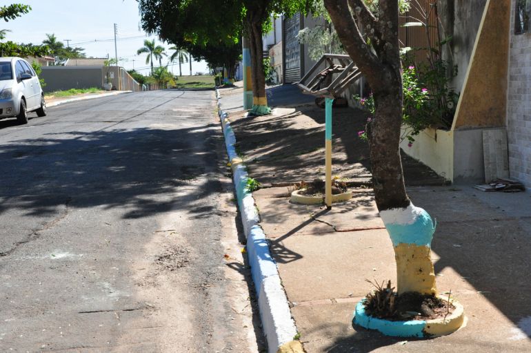José Reis - No bairro, o azul, verde e amarelo podem ser vistos nos postes, calçadas e muros
