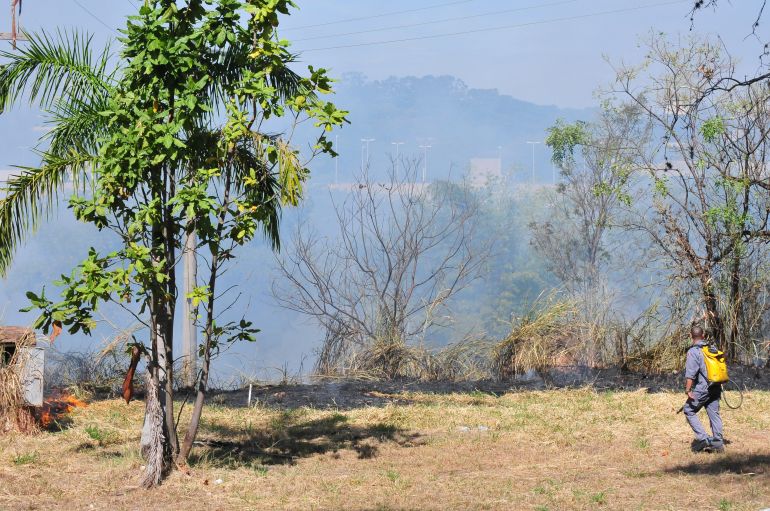 Marcio Oliveira - Incêndio no Bosque do Centenário consumiu cerca de 5 mil m² de área