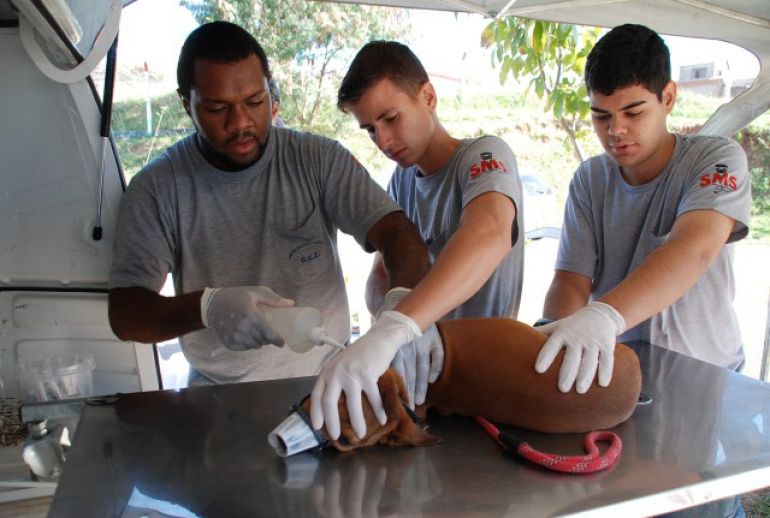 Cedida - Na próxima semana, CCZ fará coleta sangue para testes de leishmaniose e cadastramento dos animais