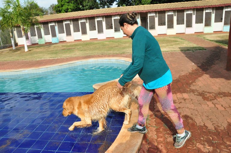 José Reis - Entre atividades oferecidas aos pets estão as aquáticas