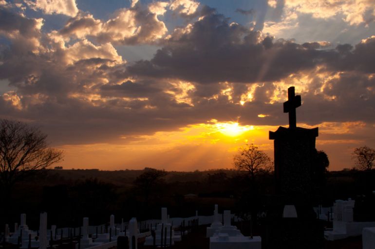 Cedida - Todos os anos, o tempo contribui para que o Shokonsai seja ainda mais especial