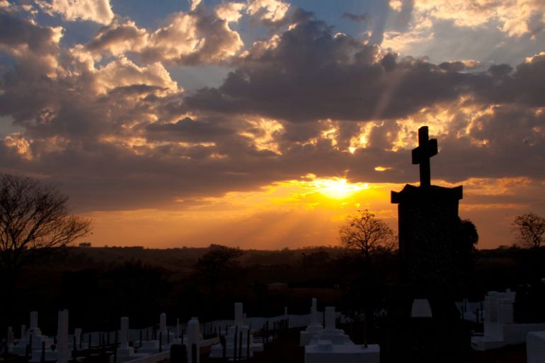 Cedida - Todos os anos, o tempo contribui para que o Shokonsai seja ainda mais especial