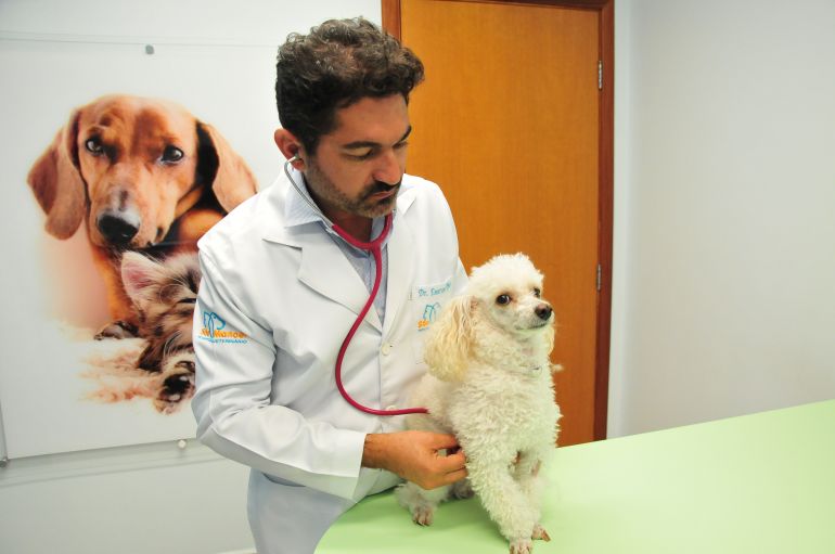 Marcio Oliveira - Veterinário Emerson orienta avaliação clínica no pet antes da viagem