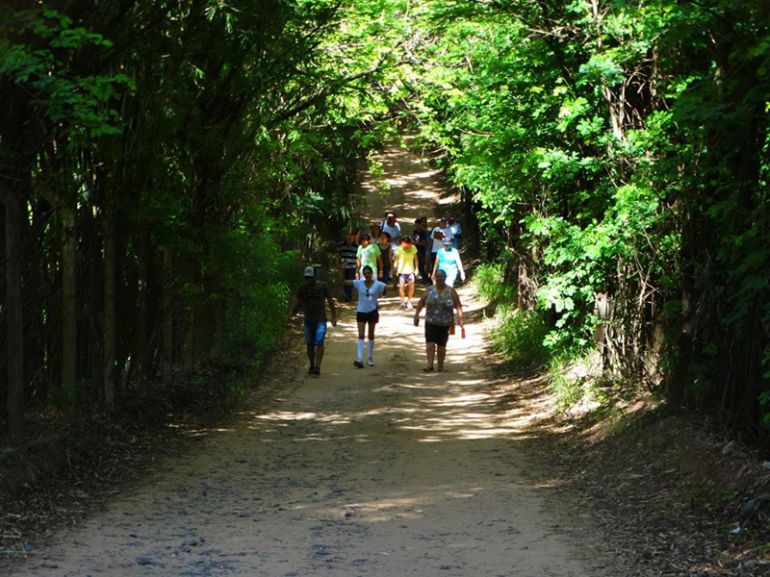 Divulgação - Caminhada ecológica é tradição no evento e mostra a importância do ambiente natural