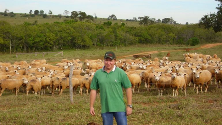 Cedida - PRODUTOR Fábio Mori, da “Cabana do Vermeio”, cria ovinos da raça Texel