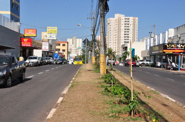 José Reis - Para Creci, Avenida Coronel José Soares Marcondes possibilita fluxo rápido