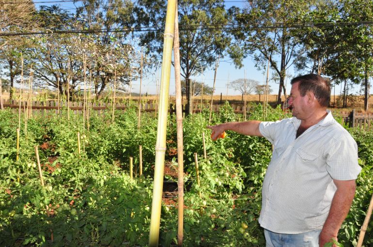 José Reis - Produtor conta que a ideia da horta orgânica foi incentivada pelo pai