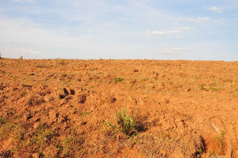 Marcio Oliveira - Terra nua é o valor da propriedade sem levar em consideração, por exemplo, benfeitorias e pastagens