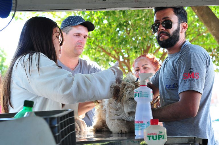 Marcio Oliveira -  Campanha de vacinação contra raiva em cães e gatos entra na última semana em Prudente