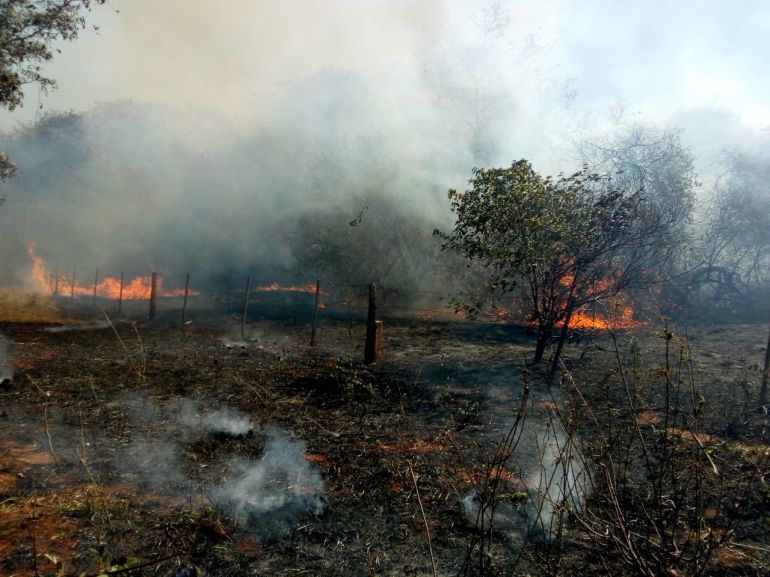 Renato de Oliveira/Apoena - Incêndio de grandes proporções atingiu área do Reassentamento Lagoinha, quarta, em Presidente Epitácio