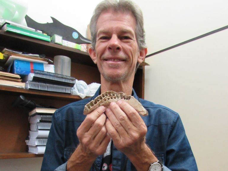 Arquivo Pessoal/William Nava - Paleontólogo segura o ramo mandibular da espécie em viagem ao Museu