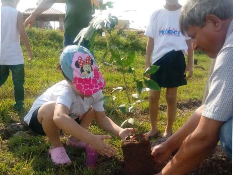 Izabelly Fernandes - Ação da Semana da Árvore desenvolveu plantio de mudas com crianças