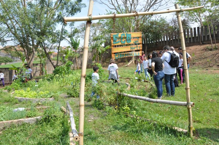 José Reis - Cultivo em áreas públicas não urbanizadas promove transformação local