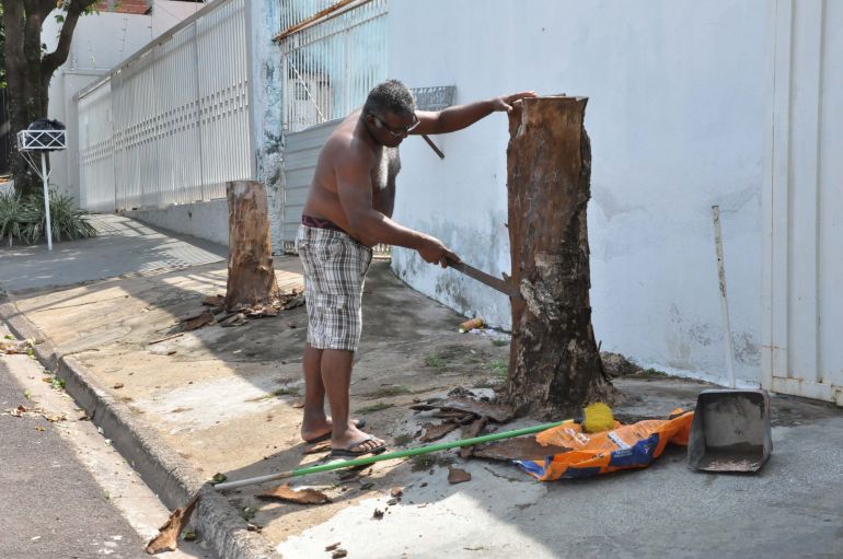 José Reis - José Marcelo removeu cascas de troncos para impedir aparição