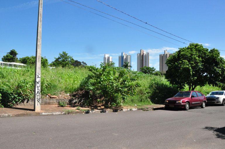 José Reis - Terreno com mato alto e acúmulo de lixo vira problema para moradores