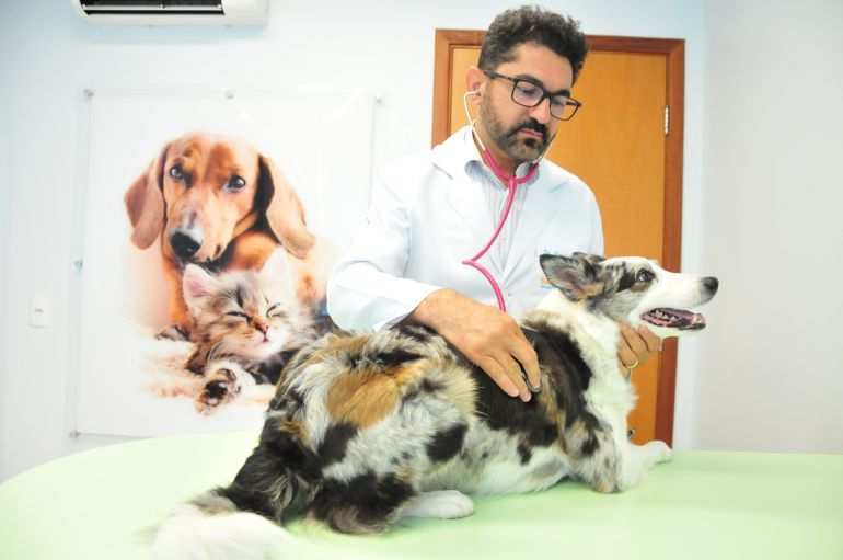 Marcio Oliveira - Chances de cura são altas, desde que doença seja diagnosticada precocemente; visita ao veterinário é imprescindível
