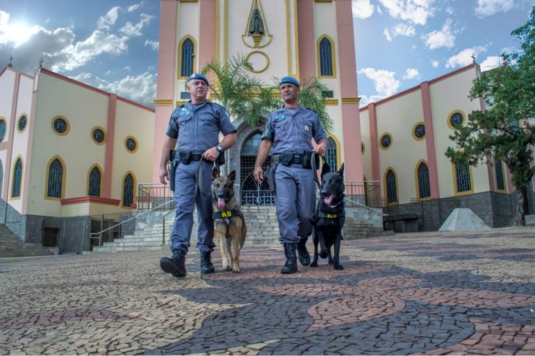 Animais do 18º Polícia Militar - Animais do batalhão recebem treinamentos antes de atuação junto ao efetivo policial