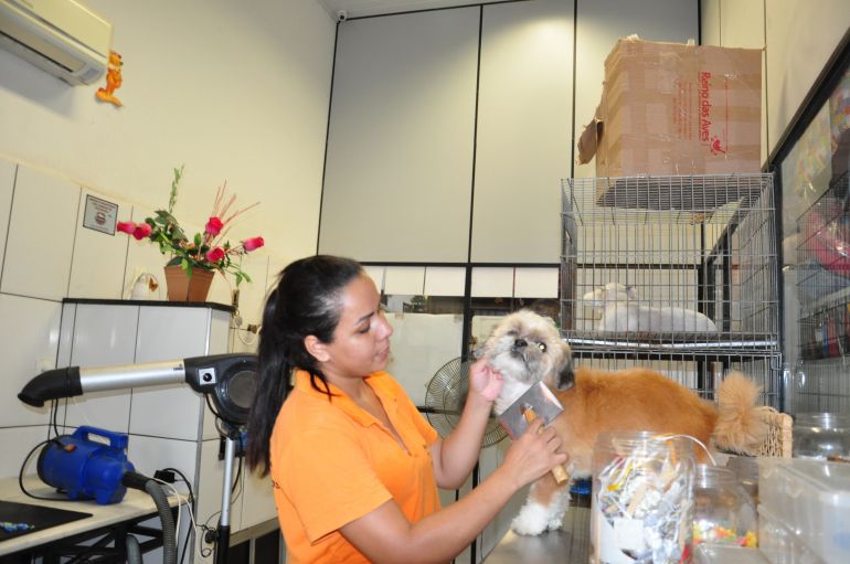 José Reis - Pet shops têm 180 dias para se adequar à norma desde a publicação da lei, em 19 de dezembro