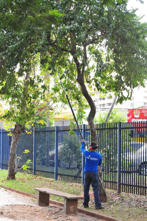 Arquivo - Podas e cortes pela Secretaria de Meio Ambiente, em Prudente, seguem cronograma agendado