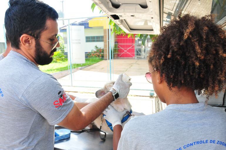 Marcio Oliveira - Coleta de sangue e chipagem de cães podem ser feitas nos plantões ou no CCZ