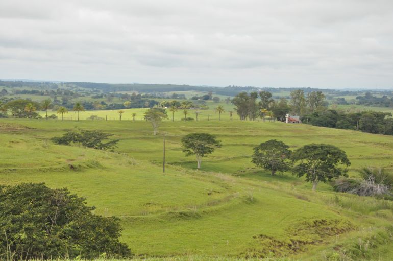 Arquivo - Timburi ganhou maior visibilidade após proposta de aterro sanitário